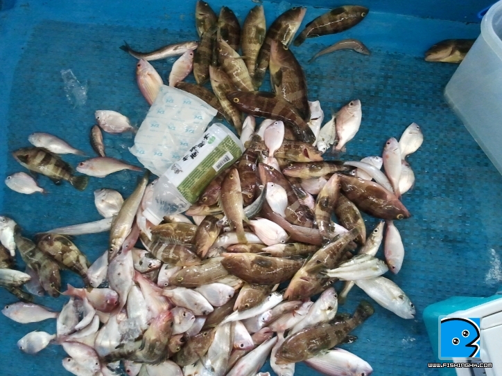 2011-08-13 16.20.27.jpg