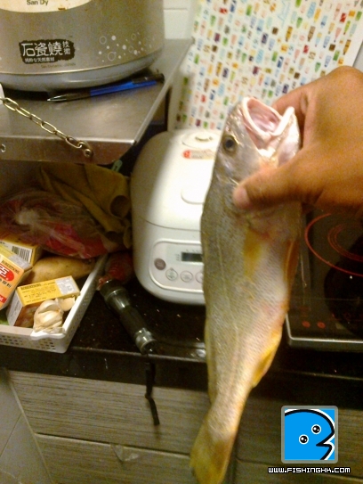 20110903042.jpg