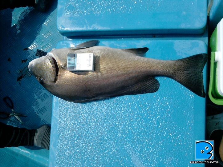P030911_22.17.jpg