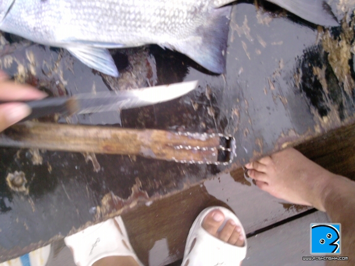P040911_04.47.jpg