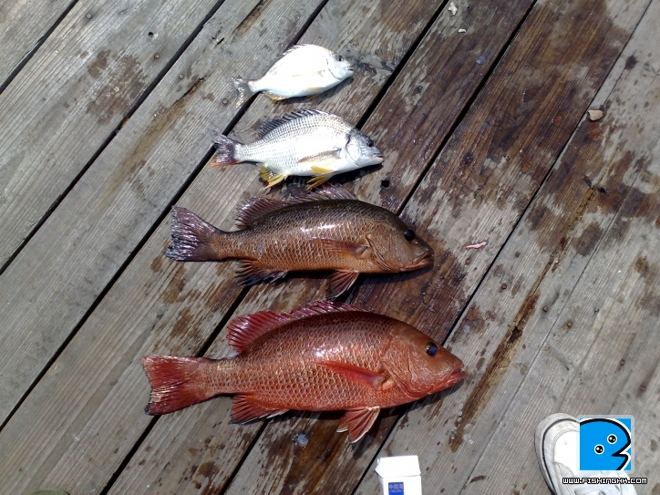 20110906525.jpg