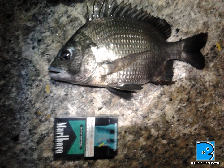 2011-09-13 00.35.15.jpg