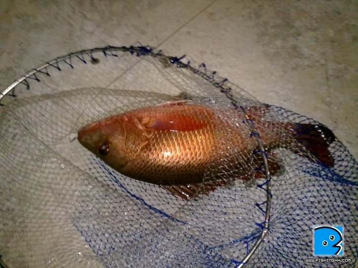201109101996.jpg