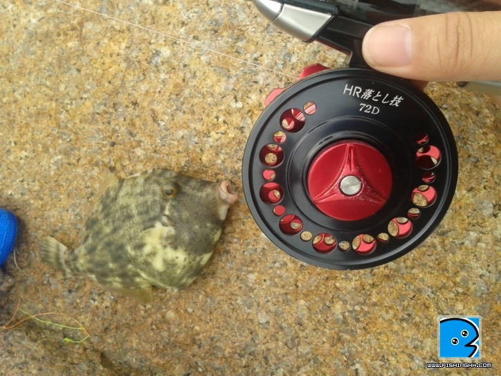 2011-09-24 17.19.53.jpg