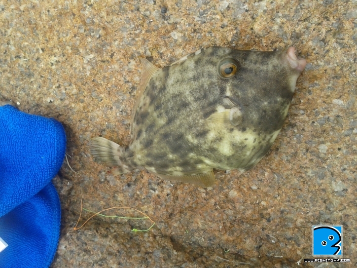 2011-09-24 17.19.59.jpg
