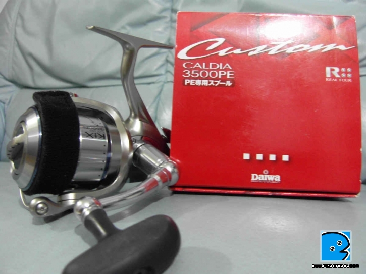 SDC11313.jpg