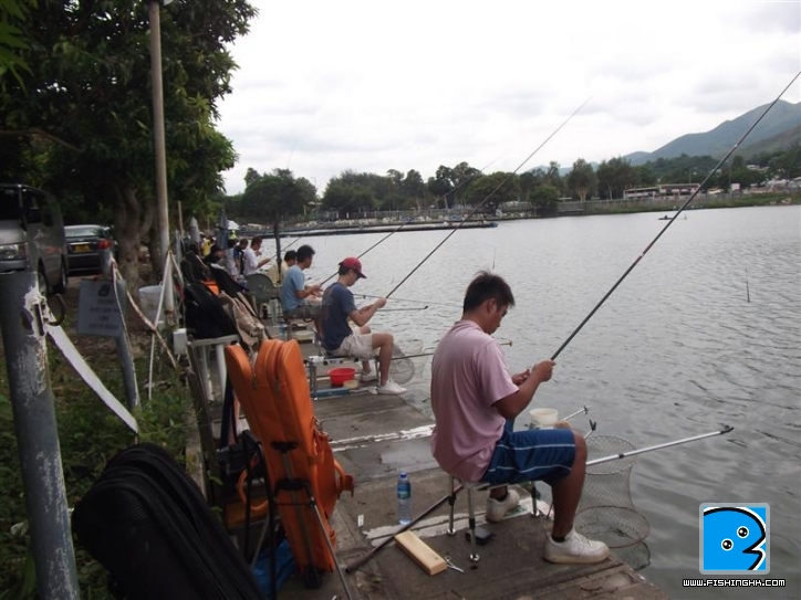 Picture 007 (Medium).jpg