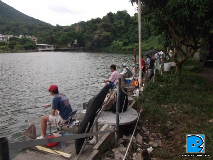 Picture 008 (Medium).jpg