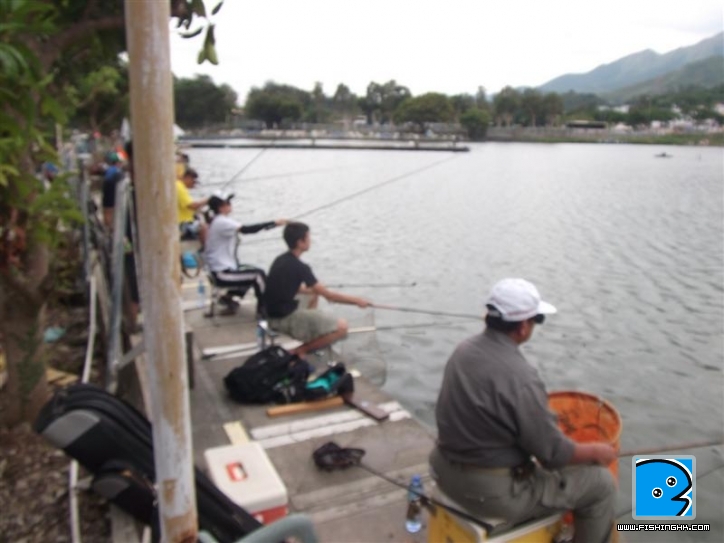Picture 011 (Medium).jpg