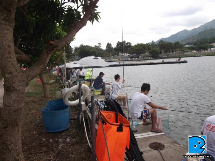 Picture 018 (Medium).jpg