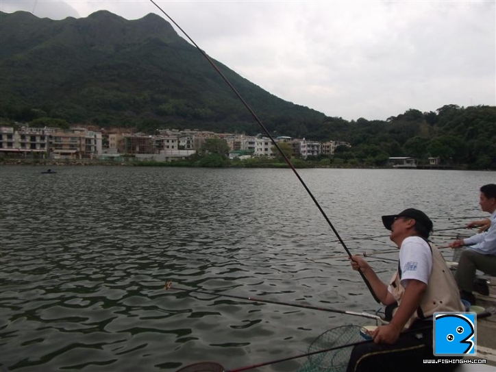 Picture 025 (Medium).jpg