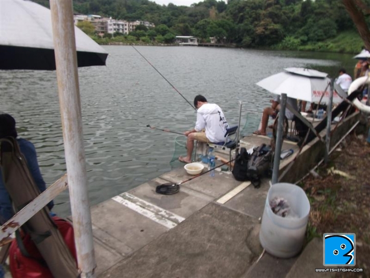 Picture 026 (Medium).jpg