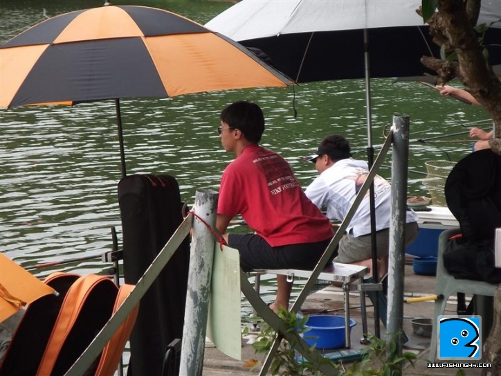 Picture 029 (Medium).jpg