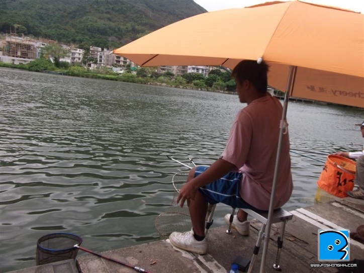 Picture 030 (Medium).jpg