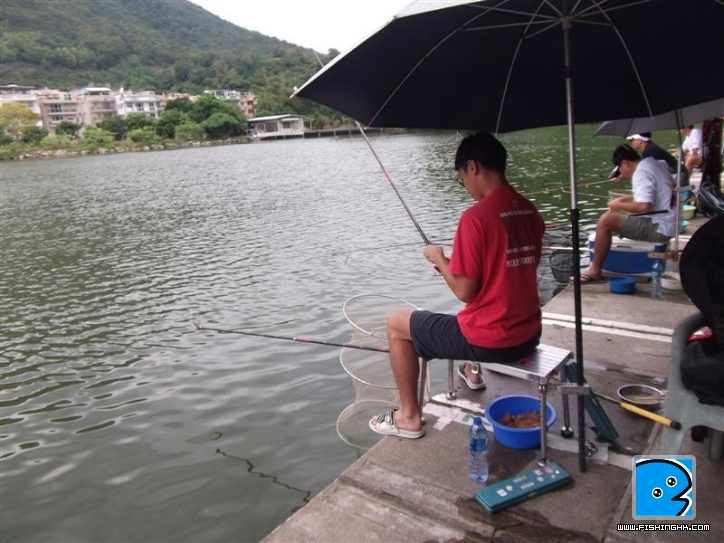 Picture 031 (Medium).jpg