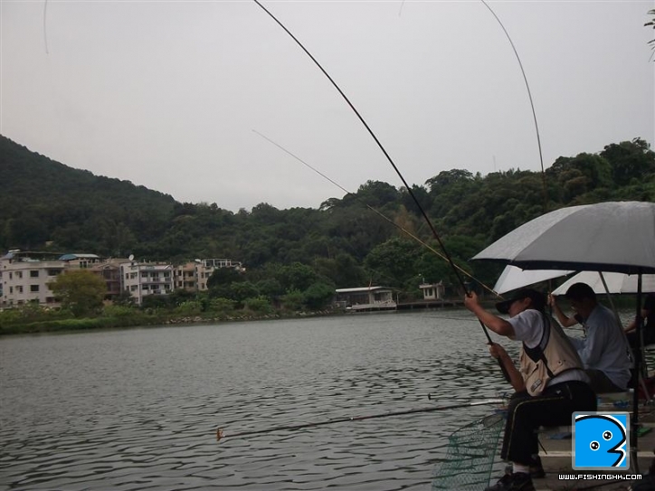 Picture 045 (Medium).jpg