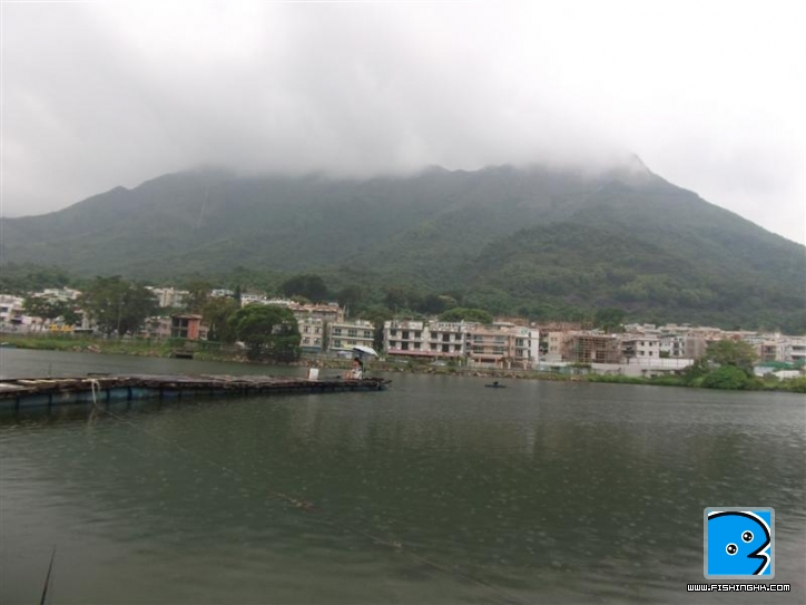 Picture 053 (Medium).jpg