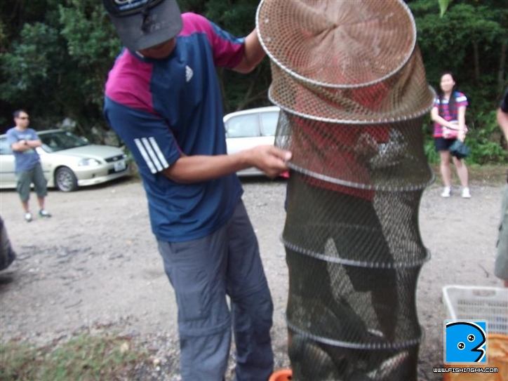 Picture 062 (Medium).jpg