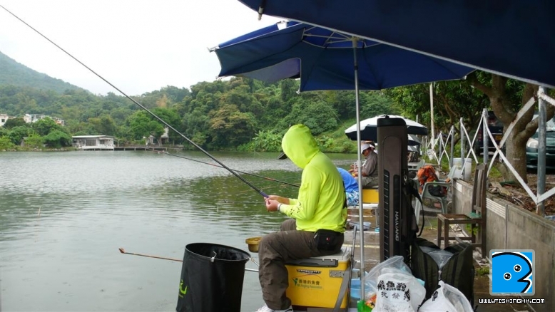 P1100319.JPG