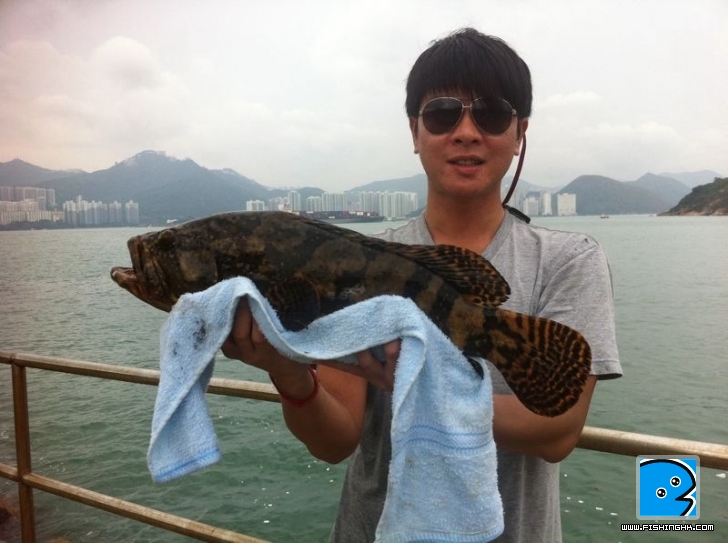 鹿洲釣獲1.JPG