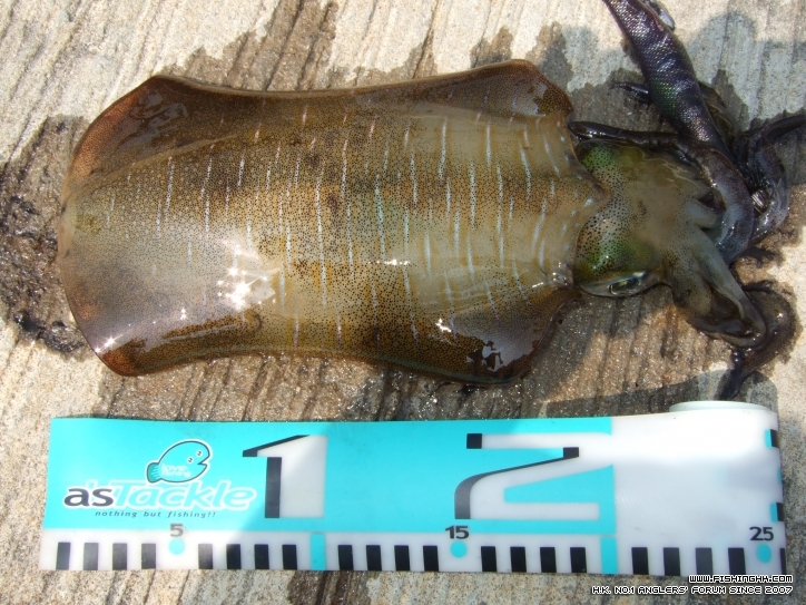 DSCF2507.JPG