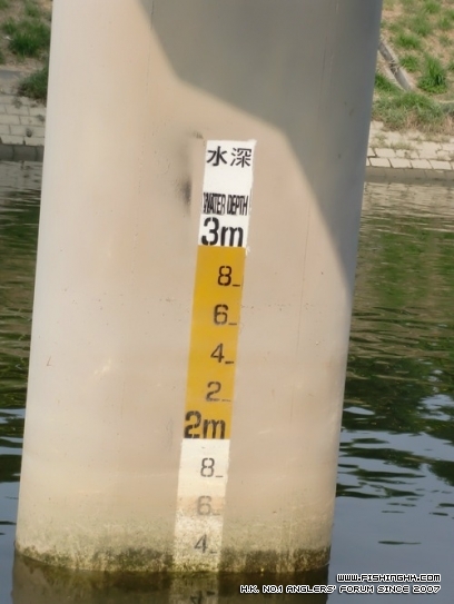 CIMG2506.JPG