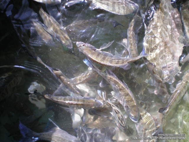 PA310087.JPG