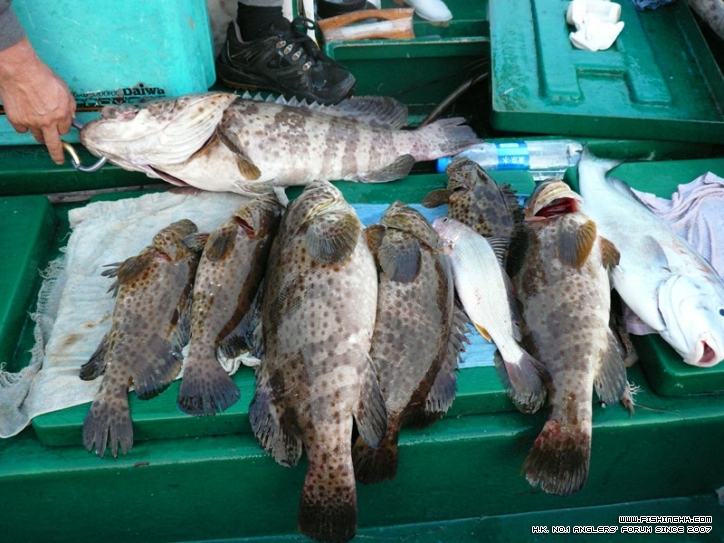 20111115_68546c9af66ea01c1b4947xDmJzbeJza.jpg