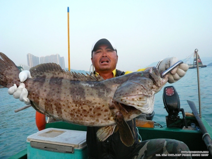20111115_e7b06232d2c31a5af5deIq6zQ18EFOve.jpg