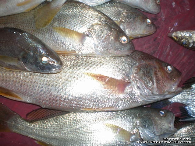 PB210071.JPG