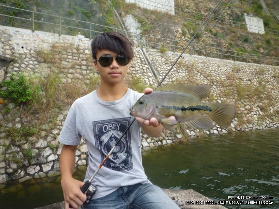 20111126.JPG
