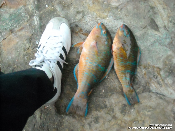DSCN1357.JPG