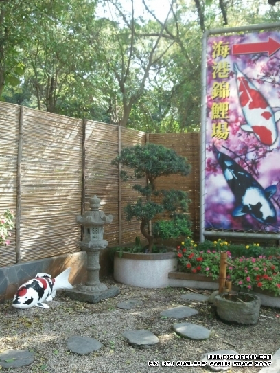 2011.JPG