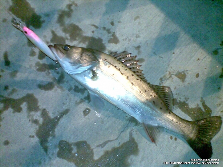 20111214(001).jpg 20111214(001).jpg