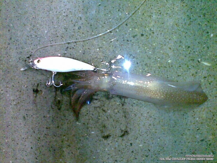 20111211.jpg 20111211.jpg