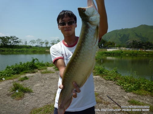 我的2011 (15).JPG