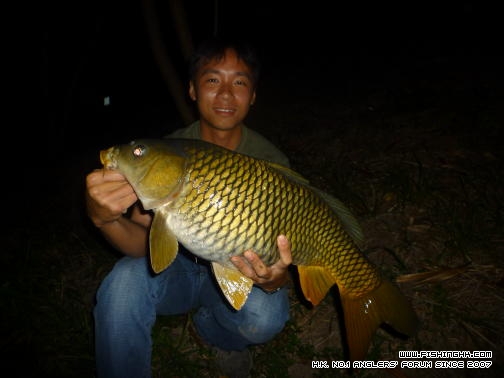 我的2011 (8).JPG
