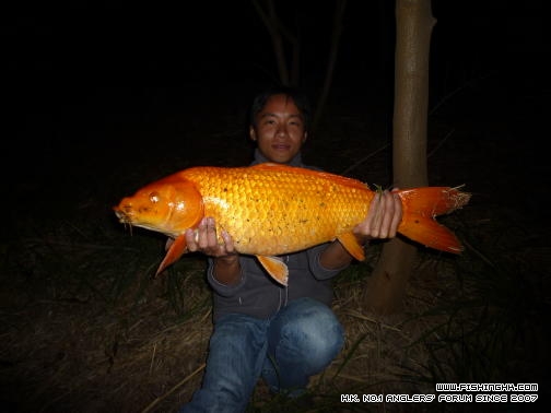 我的2011 (2).JPG