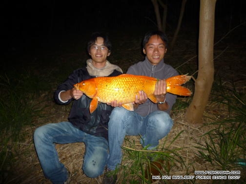 我的2011 (1).JPG