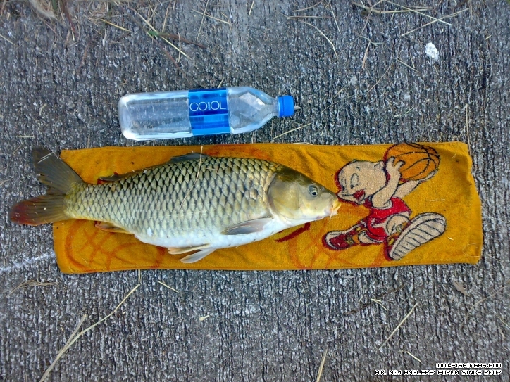 20111221575.jpg