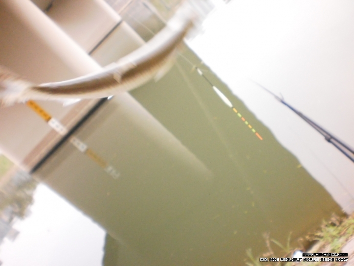 PC210079.JPG