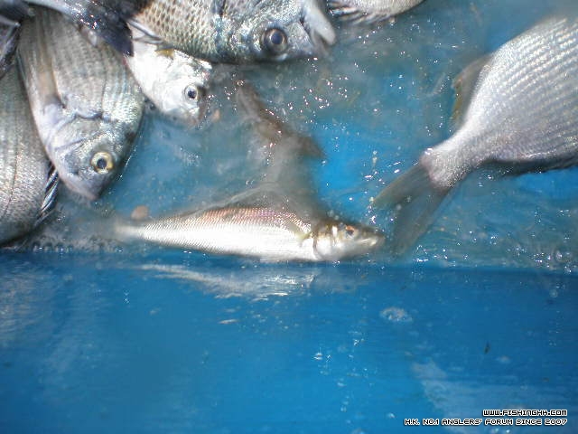 PC220018.JPG