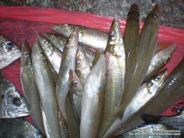 PC260017.JPG