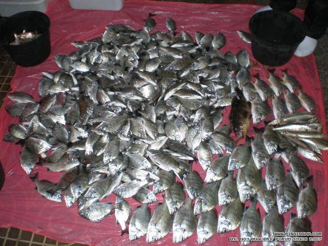 PC260024.JPG