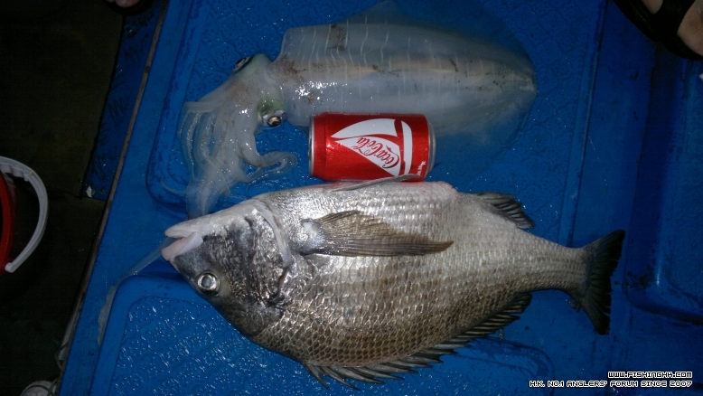 27122011079.jpg