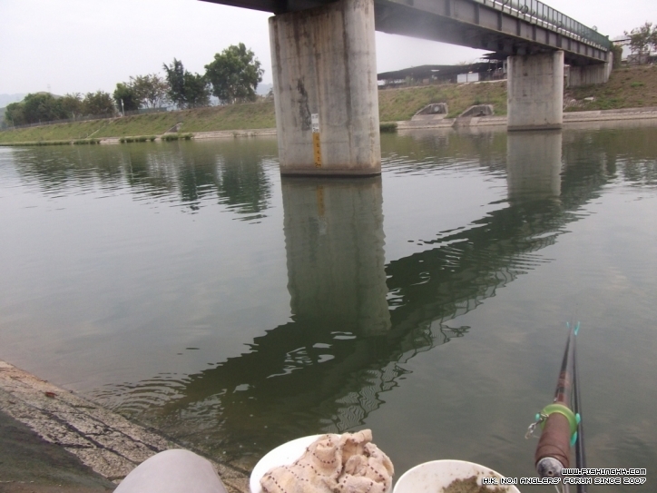 DSCF0595.JPG