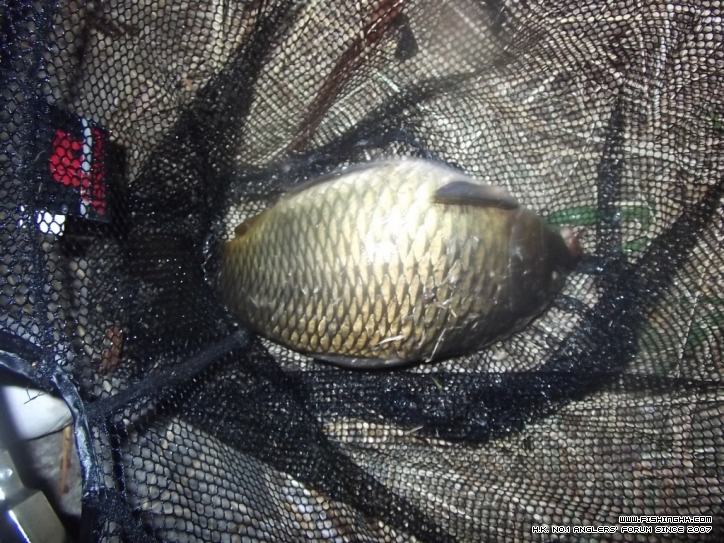 DSCF0615.JPG