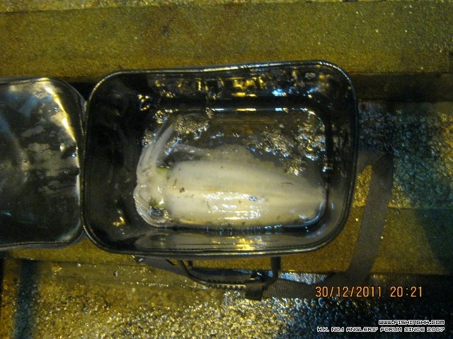 IMG_0277 (640x480).jpg