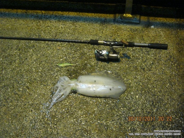 IMG_0278 (640x480).jpg