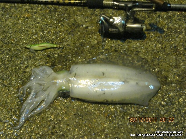 IMG_0279 (640x480).jpg